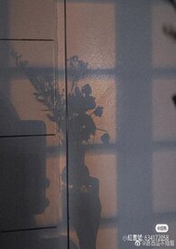 尾戒(校园H)