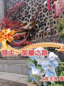 领主:荣耀之路