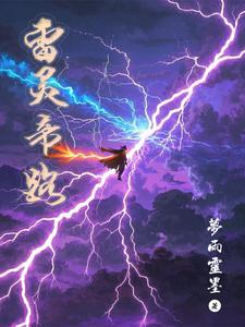 雷灵帝路