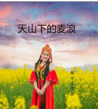 天山下的麦浪