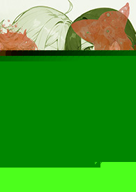 狐狸先生几点
